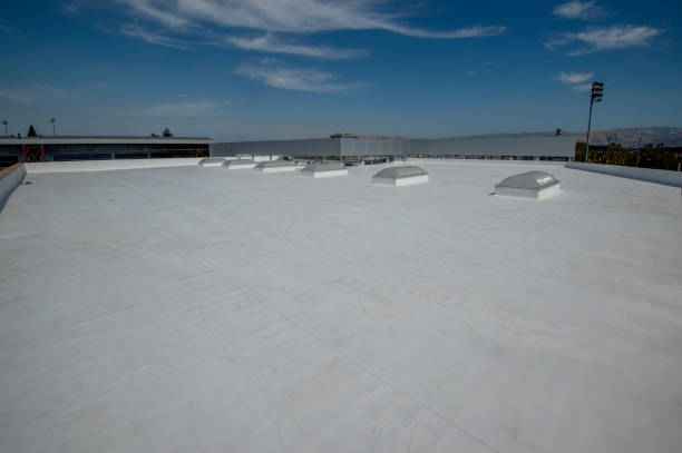 Best Roof Coating and Sealing  in Blossom, TX
